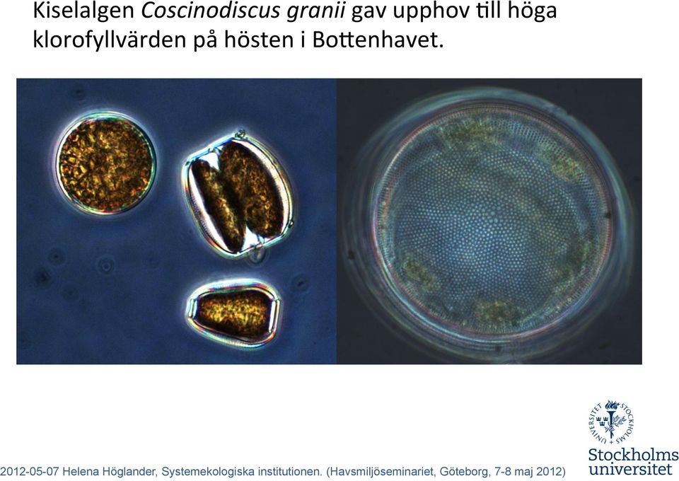 gav upphov Qll höga