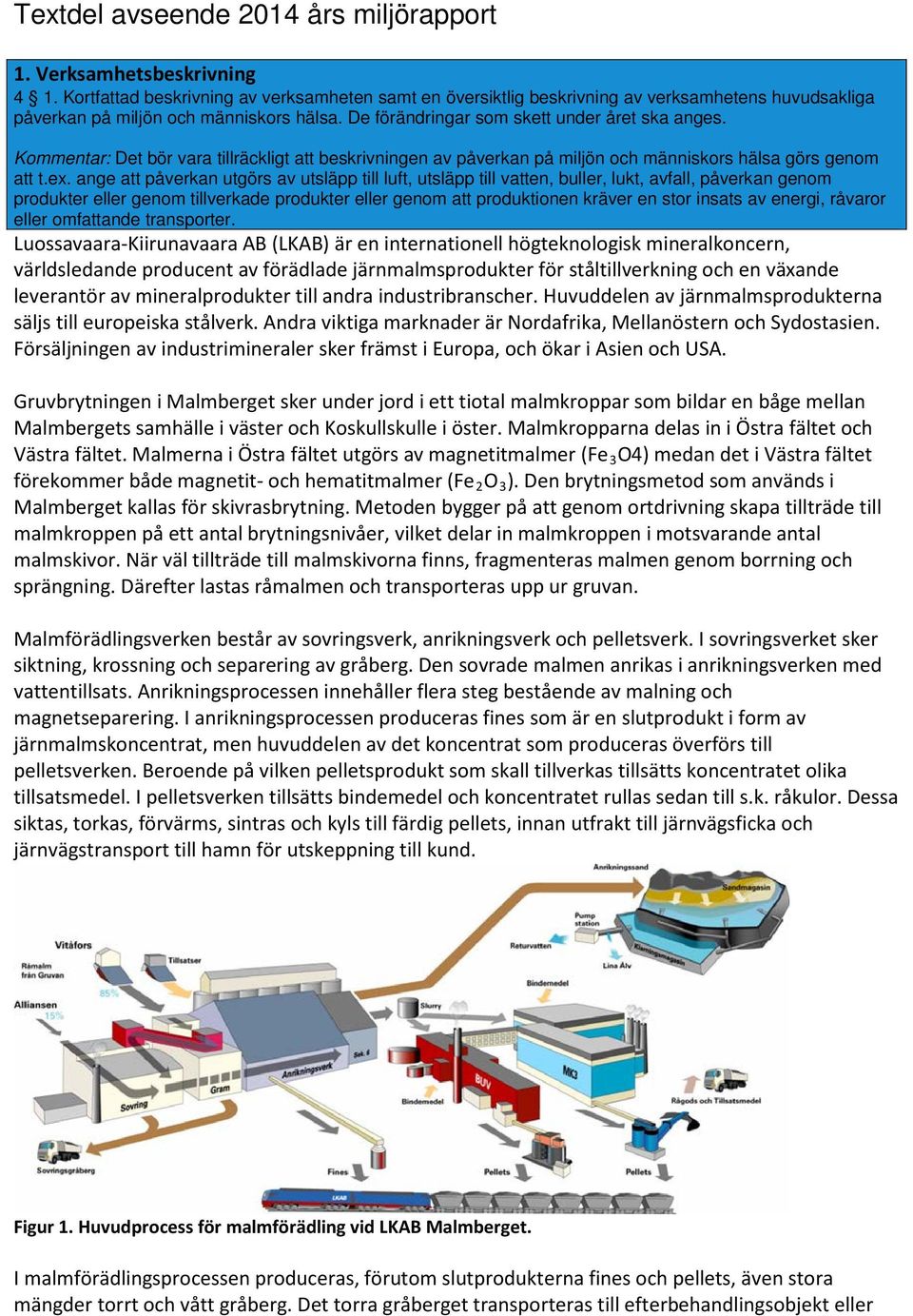 Kommentar: Det bör vara tillräckligt att beskrivningen av påverkan på miljön och människors hälsa görs genom att t.ex.