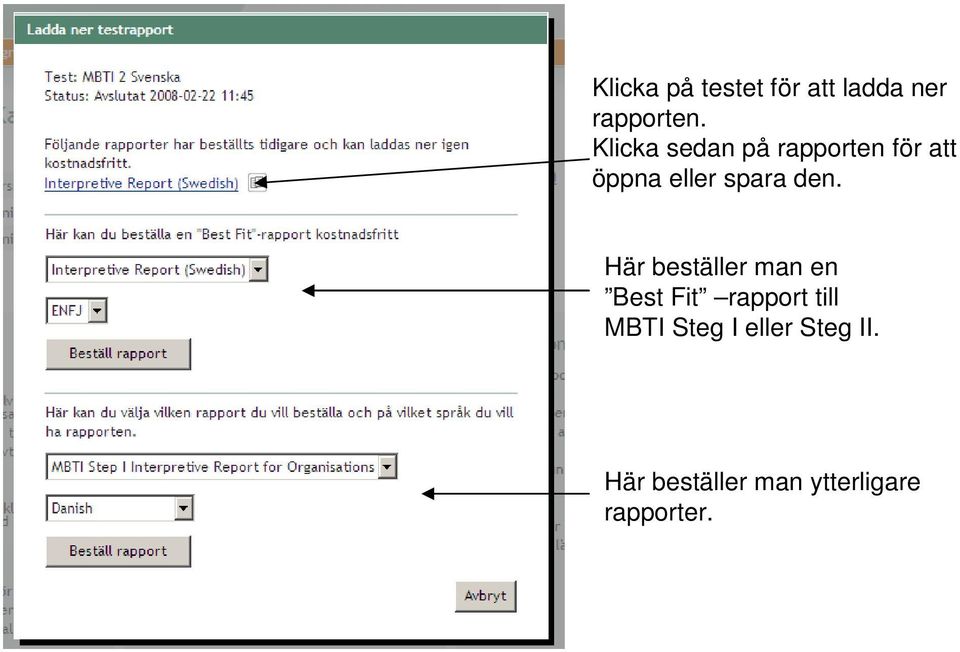 den. Här beställer man en Best Fit rapport till MBTI