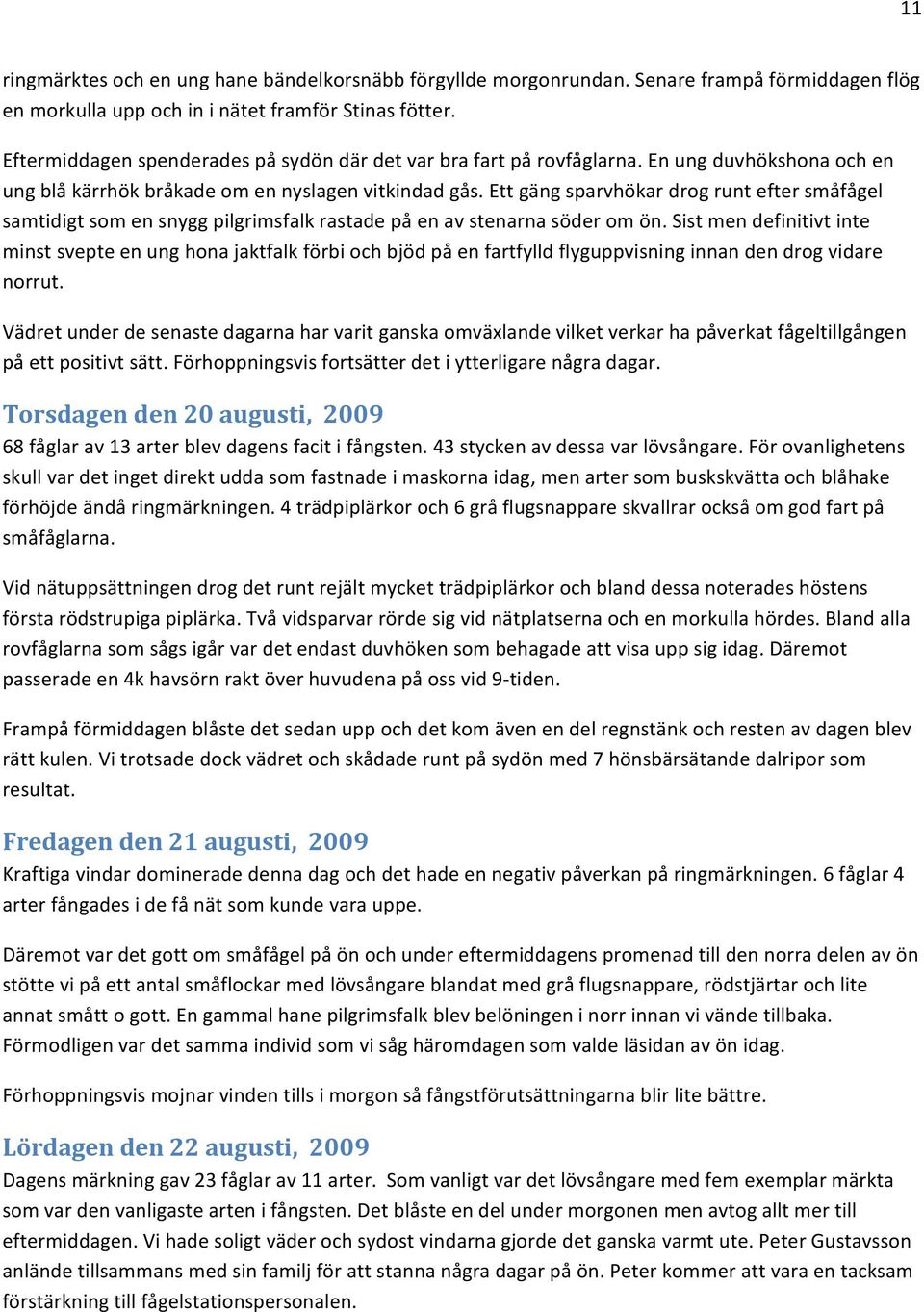 Ett gäng sparvhökar drog runt efter småfågel samtidigt som en snygg pilgrimsfalk rastade på en av stenarna söder om ön.