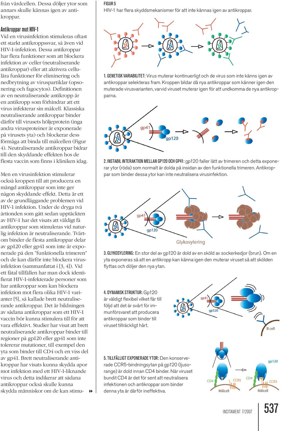 (opsonering och fagocytos). Definitionen av en neutraliserande antikropp är en antikropp som förhindrar att ett virus infekterar sin målcell.