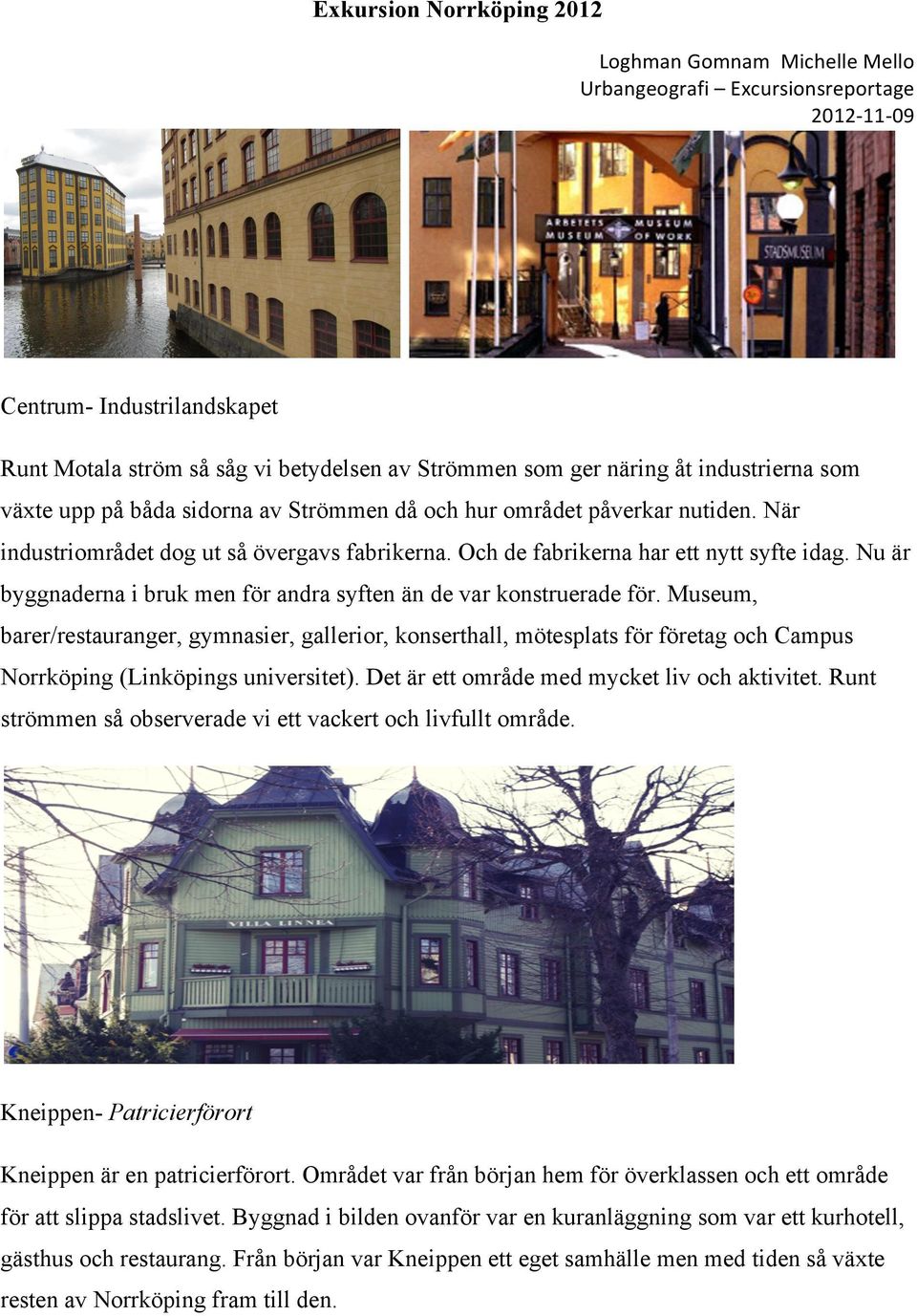 Museum, barer/restauranger, gymnasier, gallerior, konserthall, mötesplats för företag och Campus Norrköping (Linköpings universitet). Det är ett område med mycket liv och aktivitet.