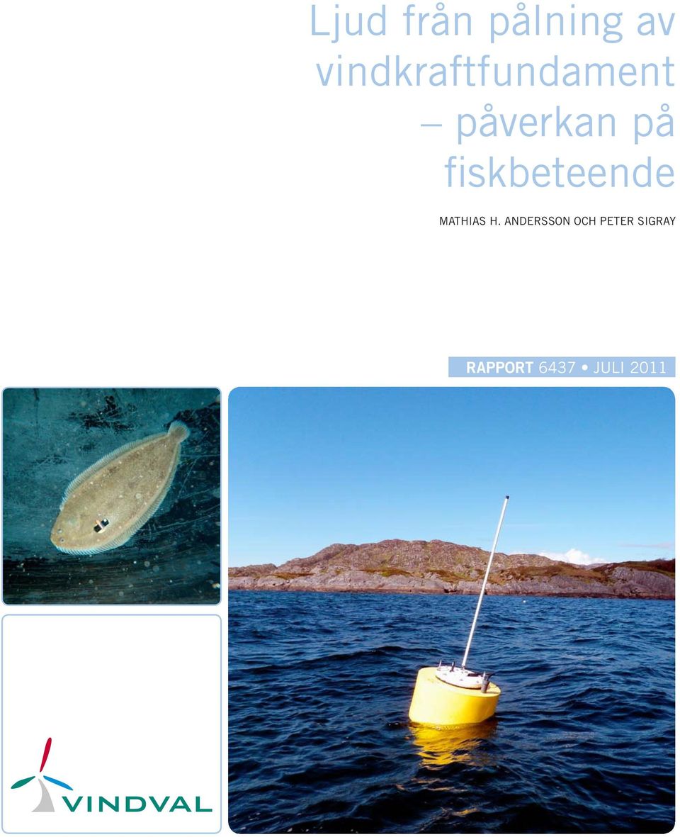 fiskbeteende Mathias H.