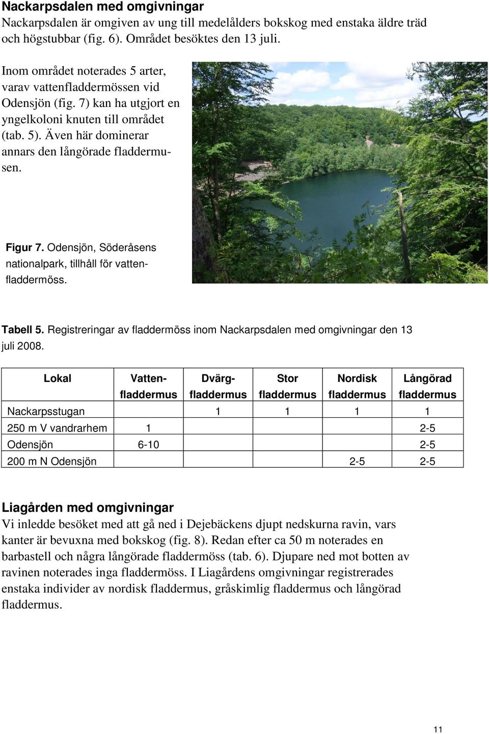 Odensjön, Söderåsens nationalpark, tillhåll för vattenfladdermöss. Tabell 5. Registreringar av fladdermöss inom Nackarpsdalen med omgivningar den 13 juli 2008.
