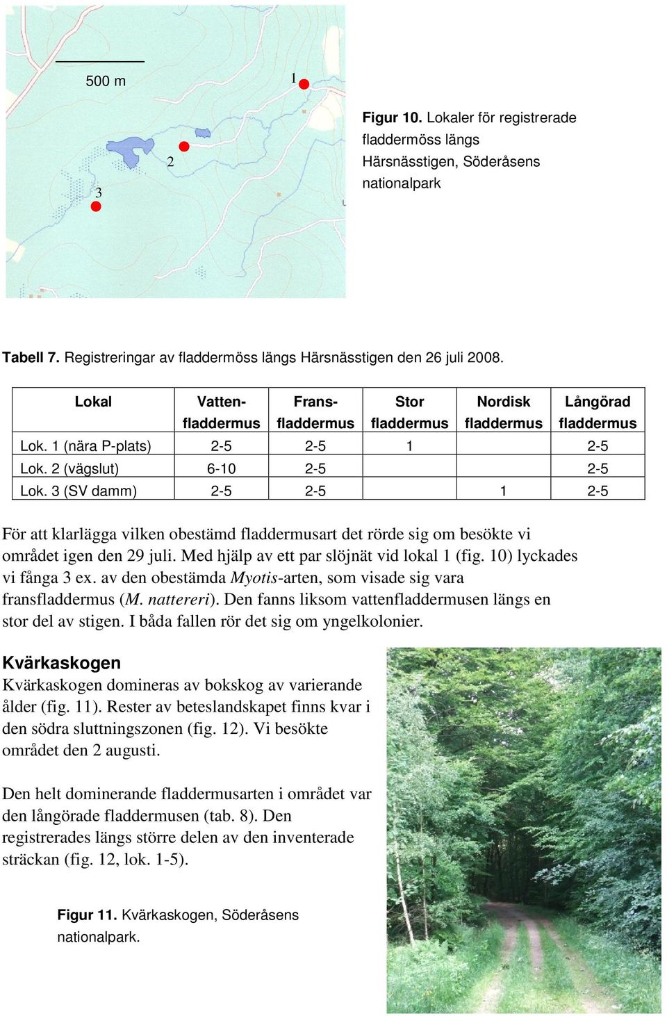 3 (SV damm) 2-5 2-5 1 2-5 För att klarlägga vilken obestämd art det rörde sig om besökte vi området igen den 29 juli. Med hjälp av ett par slöjnät vid lokal 1 (fig. 10) lyckades vi fånga 3 ex.