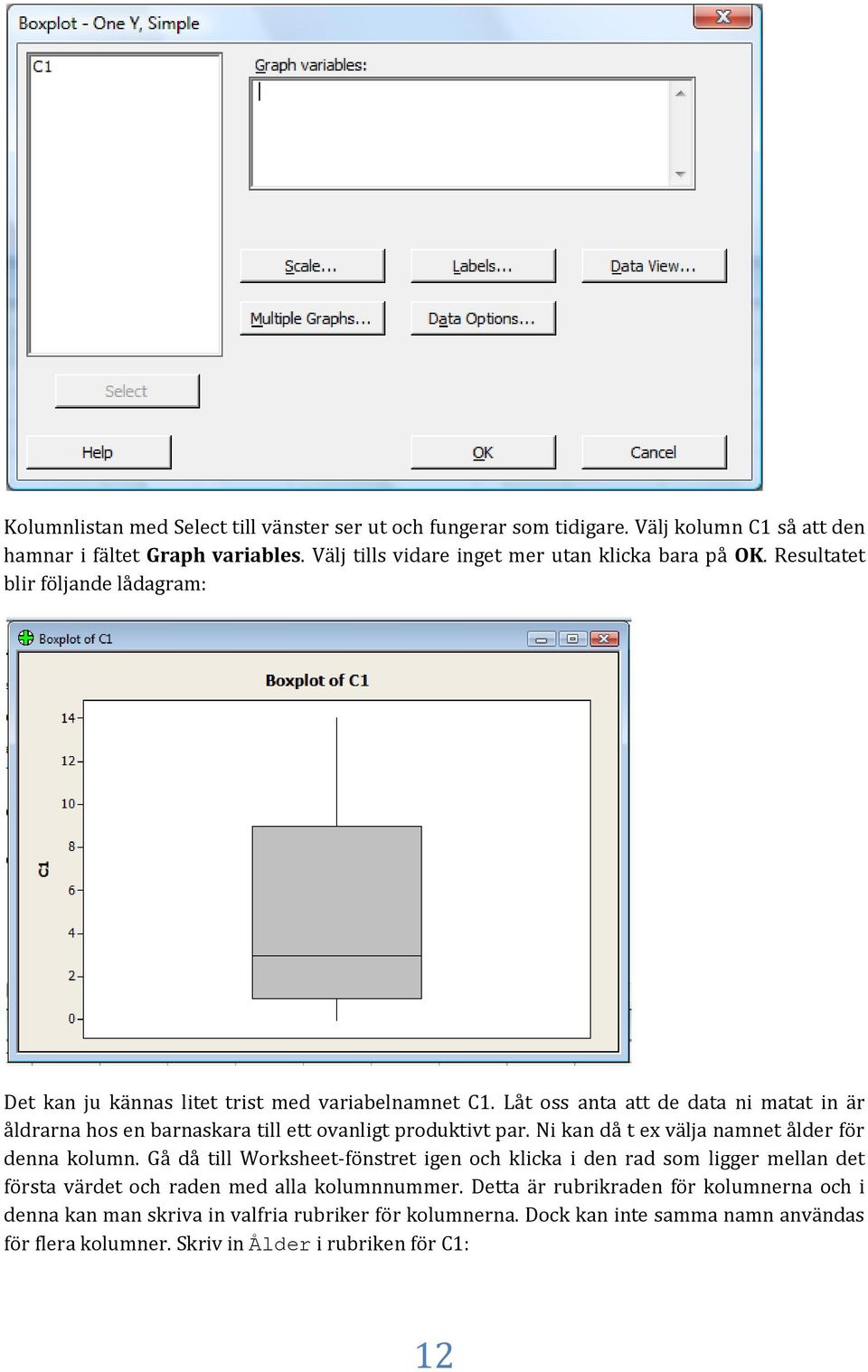 Låt oss anta att de data ni matat in är åldrarna hos en barnaskara till ett ovanligt produktivt par. Ni kan då t ex välja namnet ålder för denna kolumn.