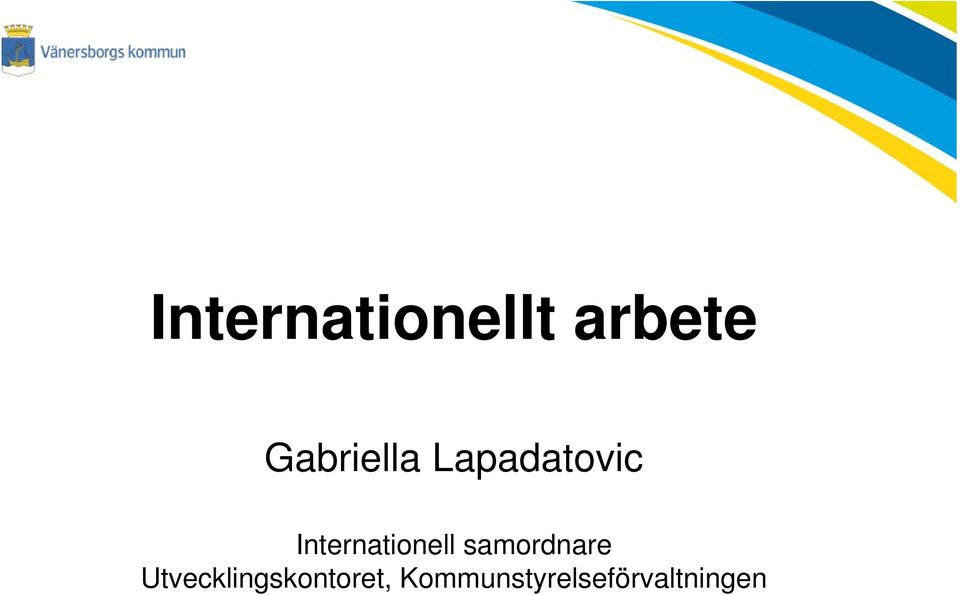 Internationell samordnare