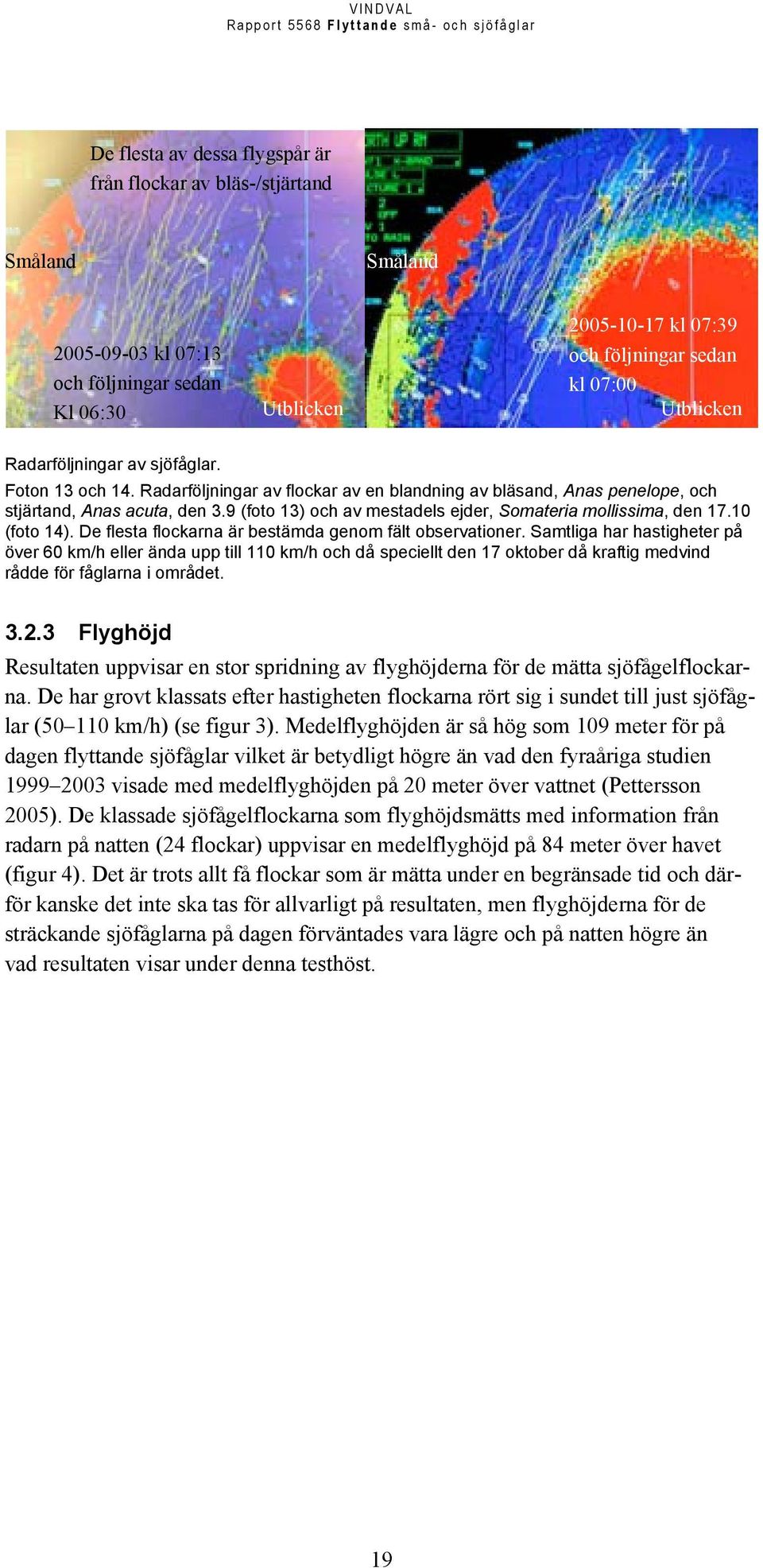 9 (foto 13) och av mestadels ejder, Somateria mollissima, den 17.10 (foto 14). De flesta flockarna är bestämda genom fält observationer.