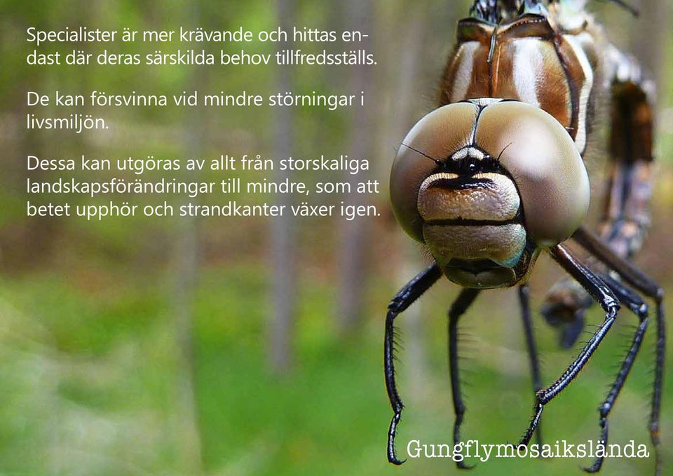 Dessa kan utgöras av allt från storskaliga landskapsförändringar till