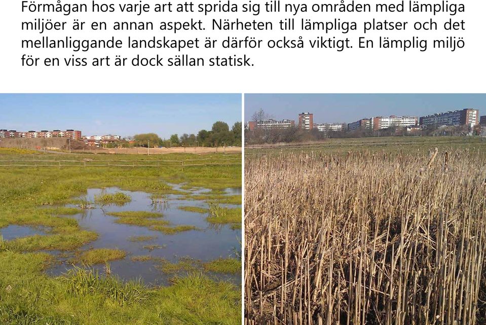 Närheten till lämpliga platser och det mellanliggande