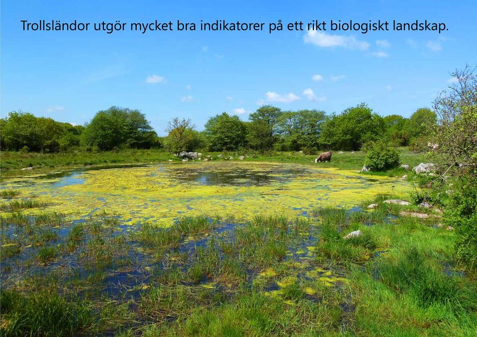 indikatorer på ett