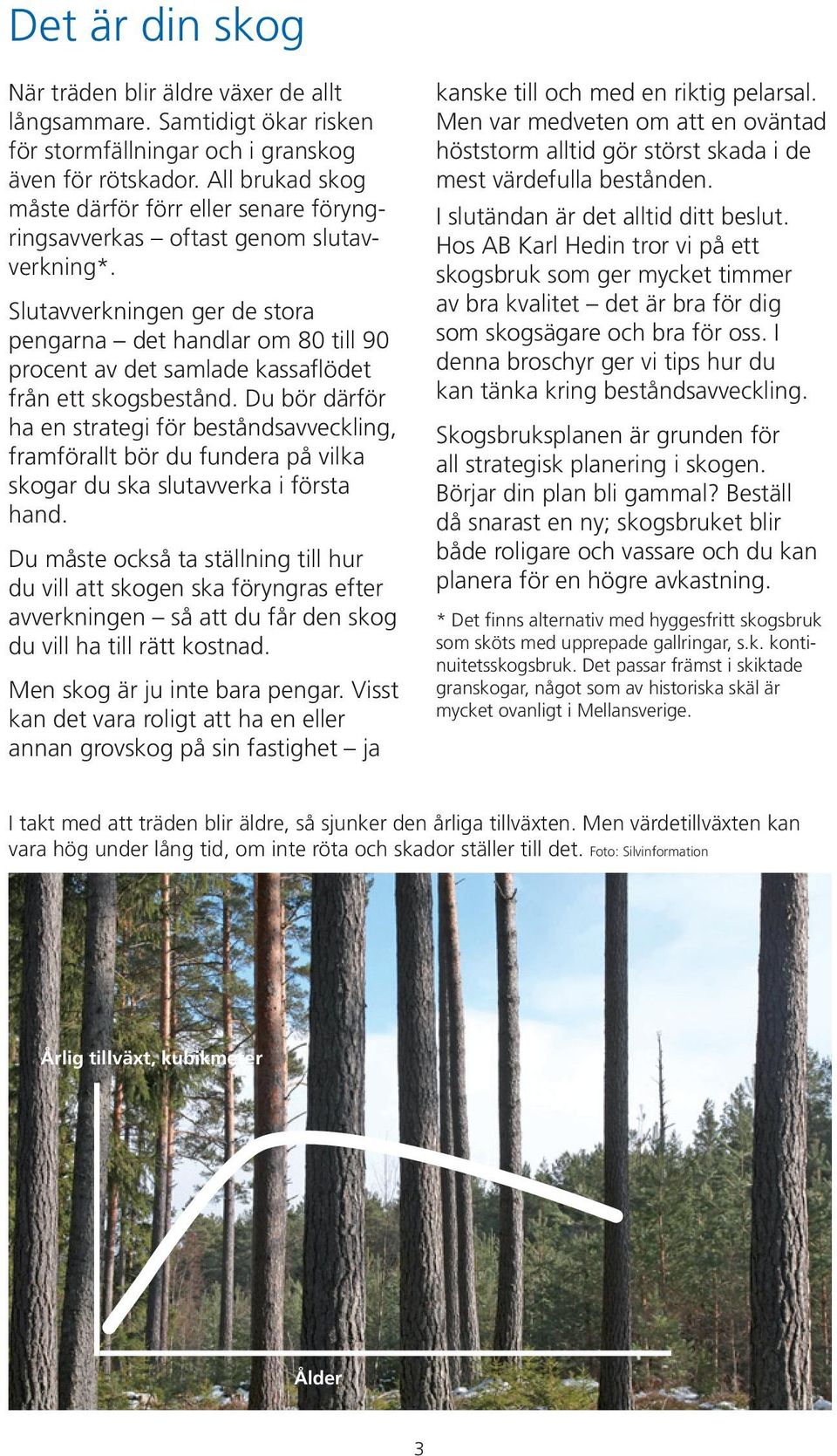 Slutavverkningen ger de stora pengarna det handlar om 80 till 90 procent av det samlade kassaflödet från ett skogsbestånd.