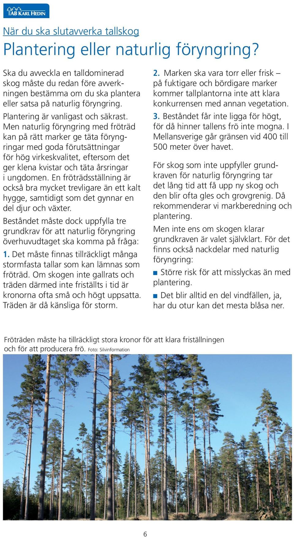 Men naturlig föryngring med fröträd kan på rätt marker ge täta föryngringar med goda förutsättningar för hög virkeskvalitet, eftersom det ger klena kvistar och täta årsringar i ungdomen.
