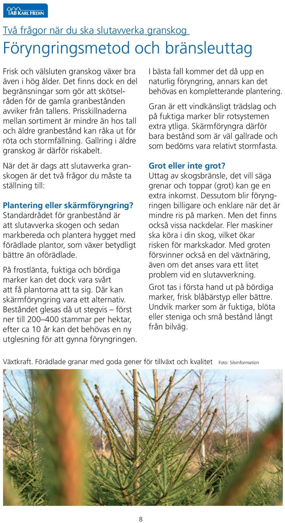 Prisskillnaderna mellan sortiment är mindre än hos tall och äldre granbestånd kan råka ut för röta och stormfällning. Gallring i äldre granskog är därför riskabelt.