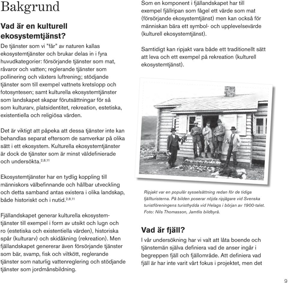 växters luftrening; stödjande tjänster som till exempel vattnets kretslopp och fotosyntesen; samt kulturella ekosystemtjänster som landskapet skapar förutsättningar för så som kulturarv,