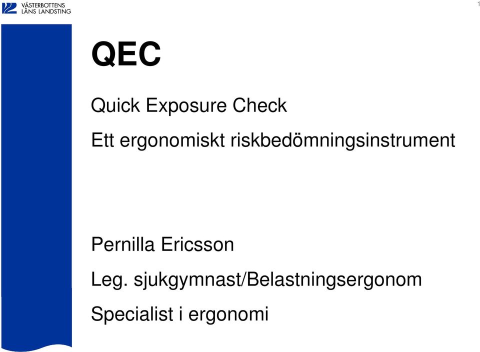 riskbedömningsinstrument Pernilla