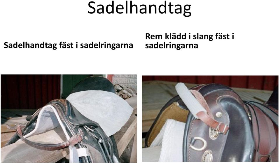 Rem klädd i slang