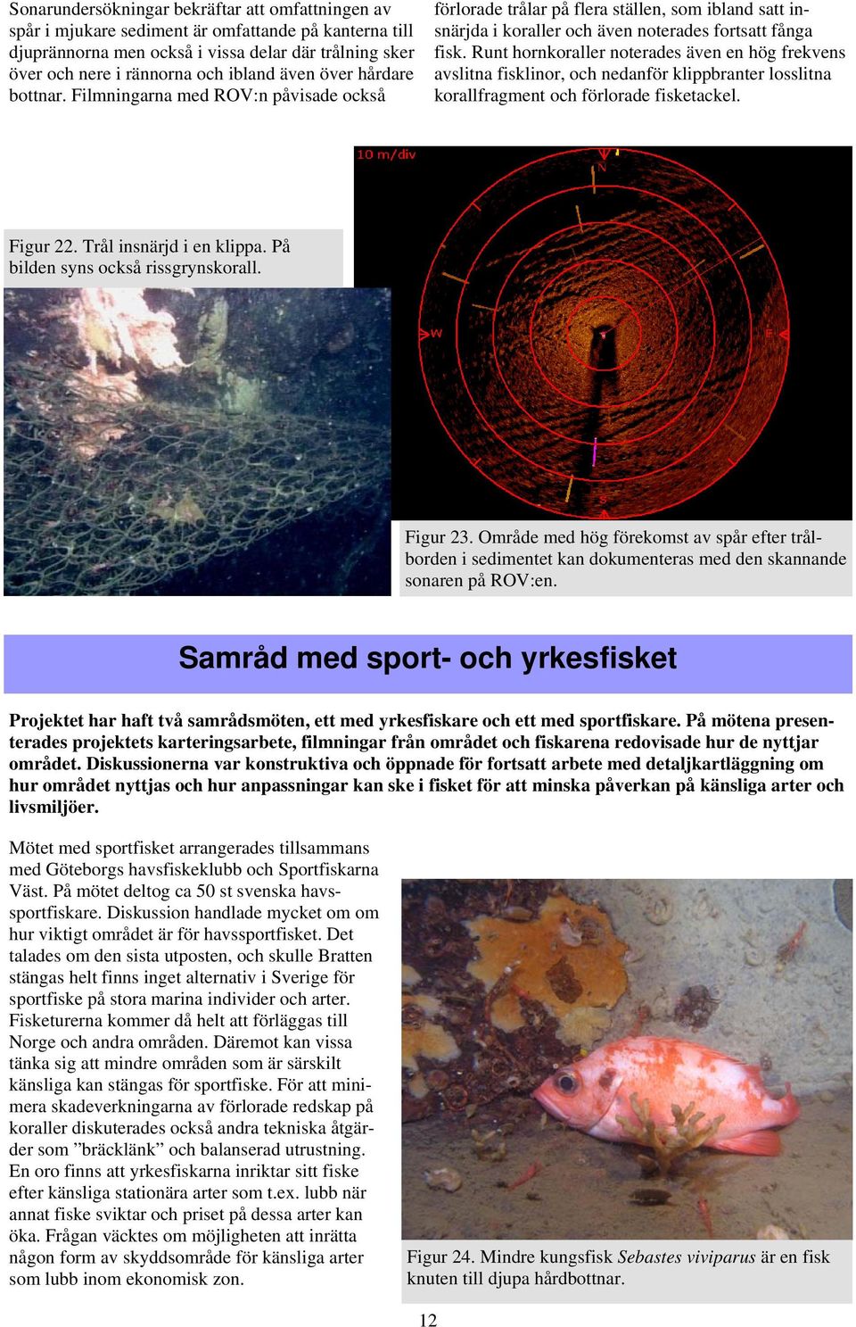Runt hornkoraller noterades även en hög frekvens avslitna fisklinor, och nedanför klippbranter losslitna korallfragment och förlorade fisketackel. Figur 22. Trål insnärjd i en klippa.
