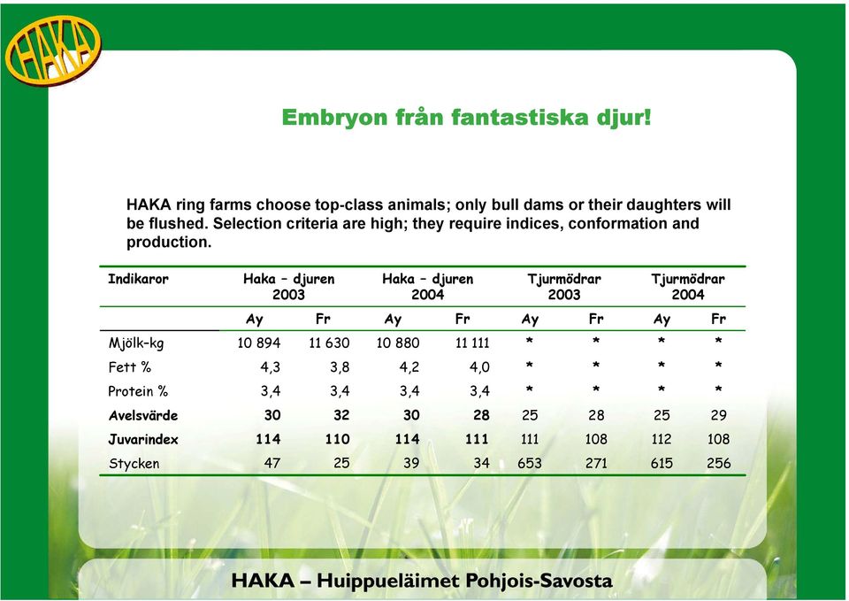 Indikaror Haka djuren 2003 Haka djuren 2004 Tjurmödrar 2003 Tjurmödrar 2004 Ay Fr Ay Fr Ay Fr Ay Fr Mjölk kg 10 894 11 630 10