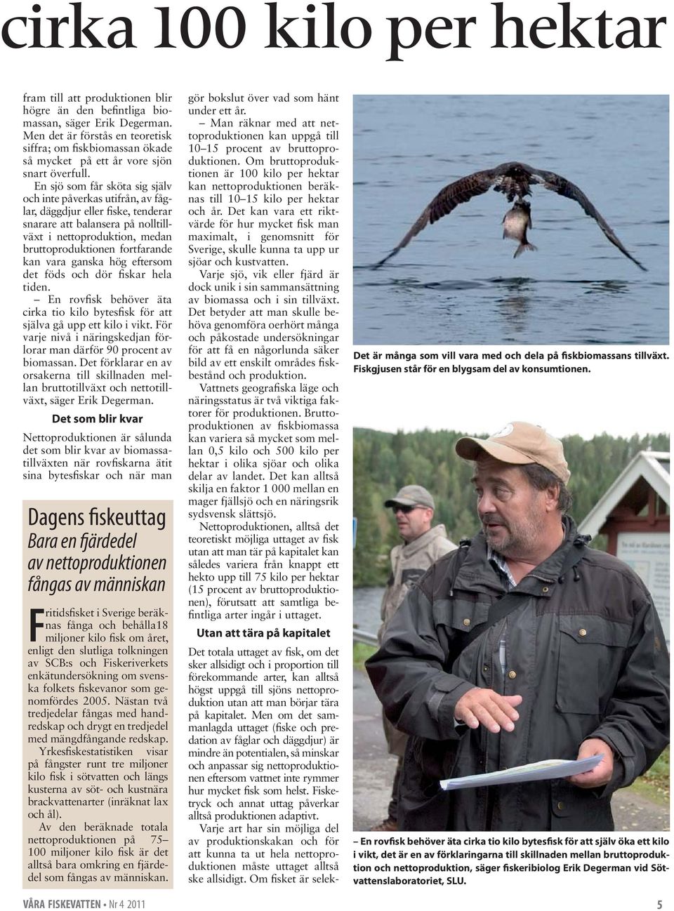 En sjö som får sköta sig själv och inte påverkas utifrån, av fåglar, däggdjur eller fiske, tenderar snarare att balansera på nolltillväxt i nettoproduktion, medan bruttoproduktionen fortfarande kan