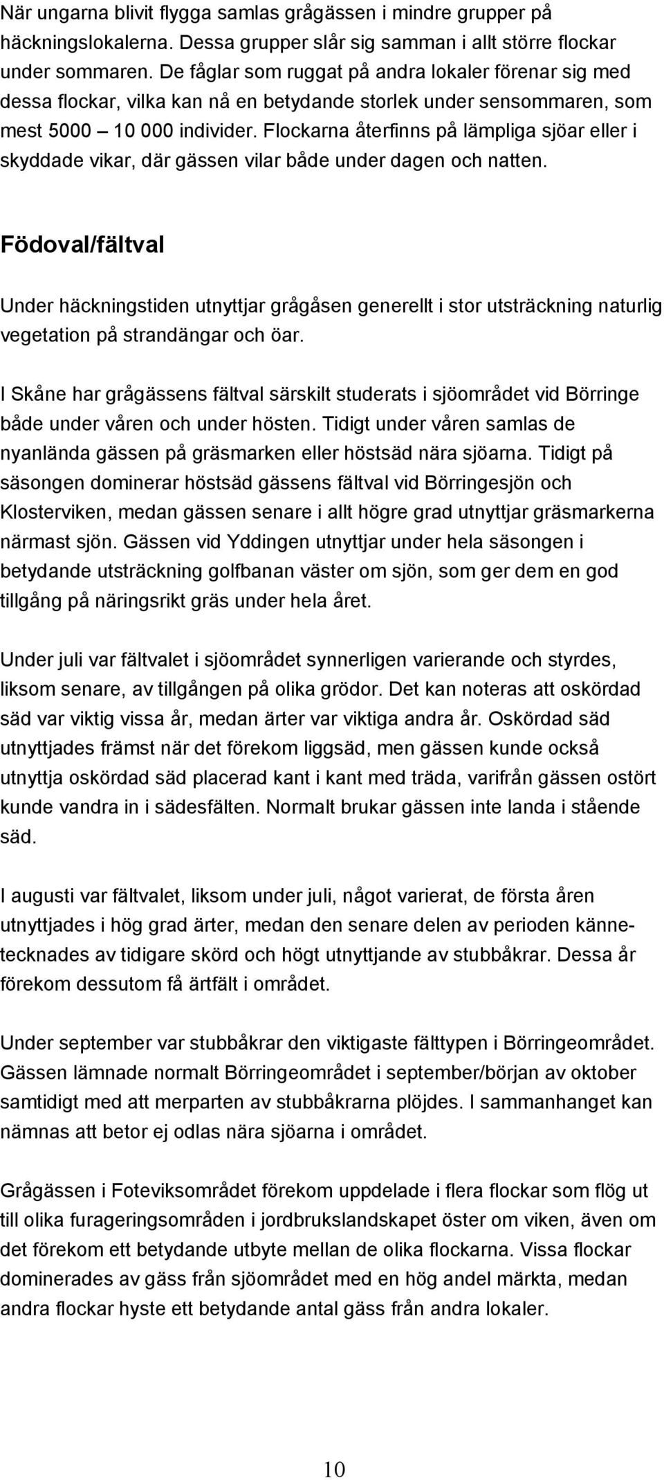 Flockarna återfinns på lämpliga sjöar eller i skyddade vikar, där gässen vilar både under dagen och natten.