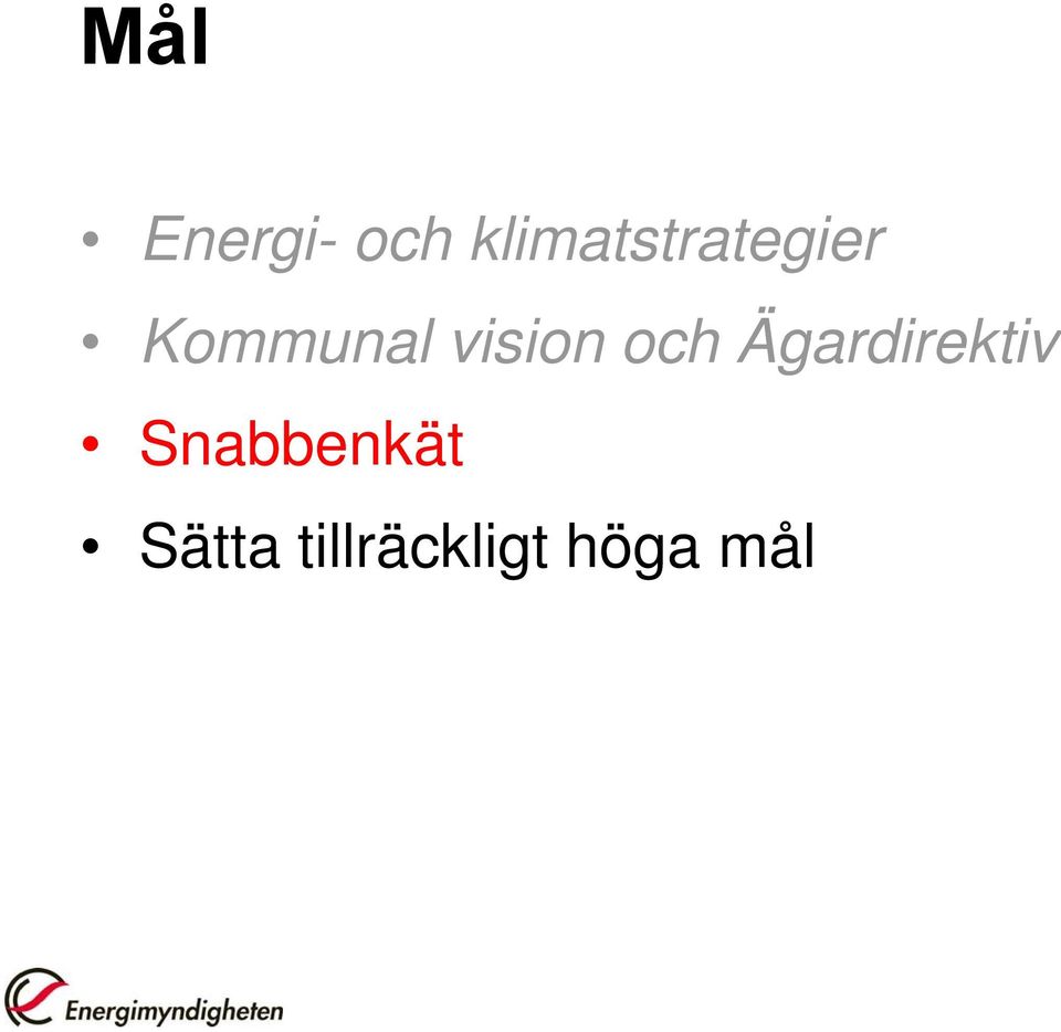 vision och Ägardirektiv