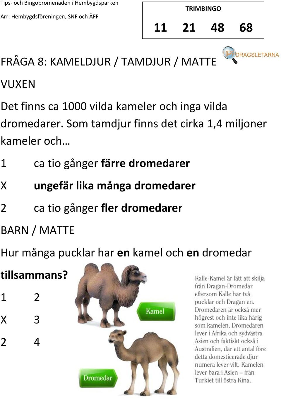 Som tamdjur finns det cirka 1,4 miljoner kameler och 1 ca tio gånger färre