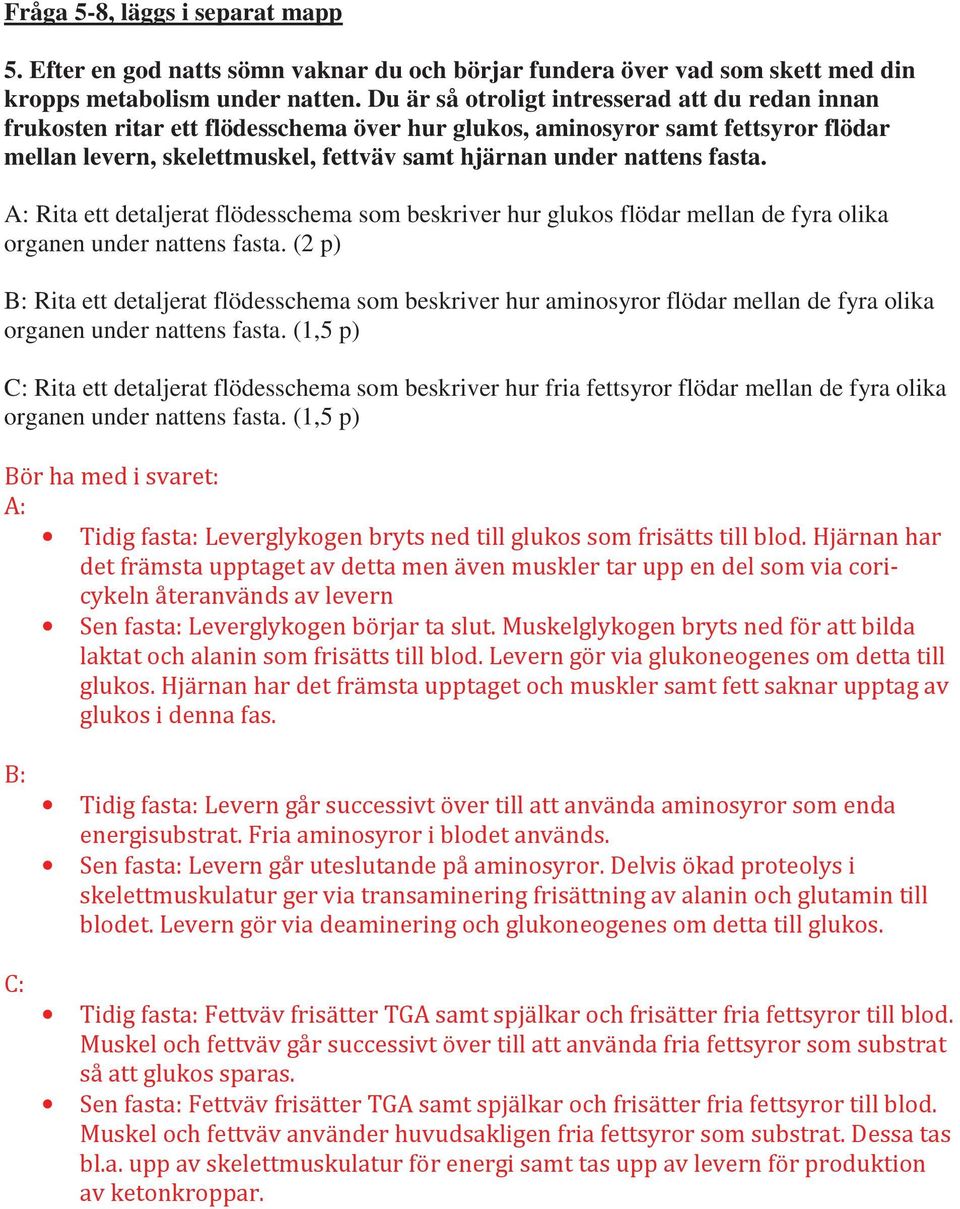 under nattens fasta. A: Rita ett detaljerat flödesschema som beskriver hur glukos flödar mellan de fyra olika organen under nattens fasta.