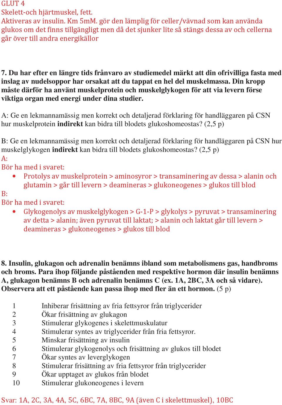 A: Ge en lekmannamässig men korrekt och detaljerad förklaring för handläggaren på CSN hur muskelprotein indirekt kan bidra till blodets glukoshomeostas?