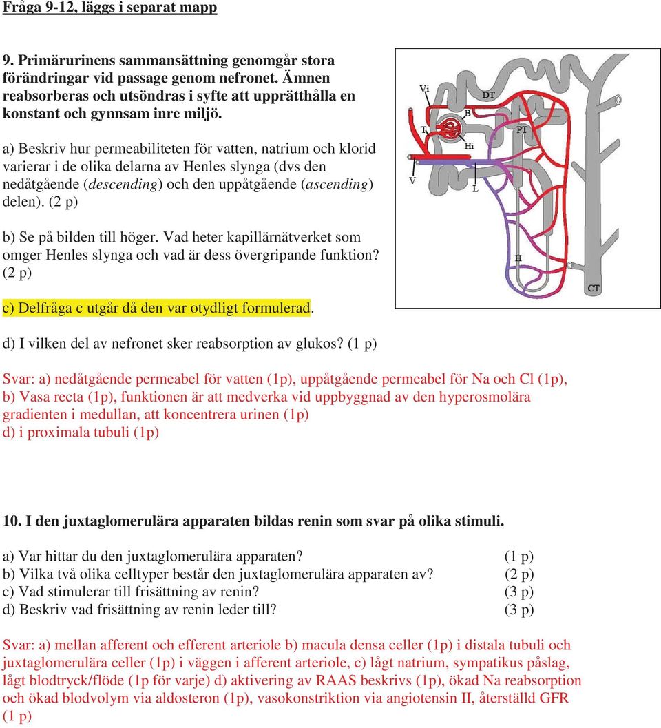 a) Beskriv hur permeabiliteten för vatten, natrium och klorid varierar i de olika delarna av Henles slynga (dvs den nedåtgående (descending) och den uppåtgående (ascending) delen).