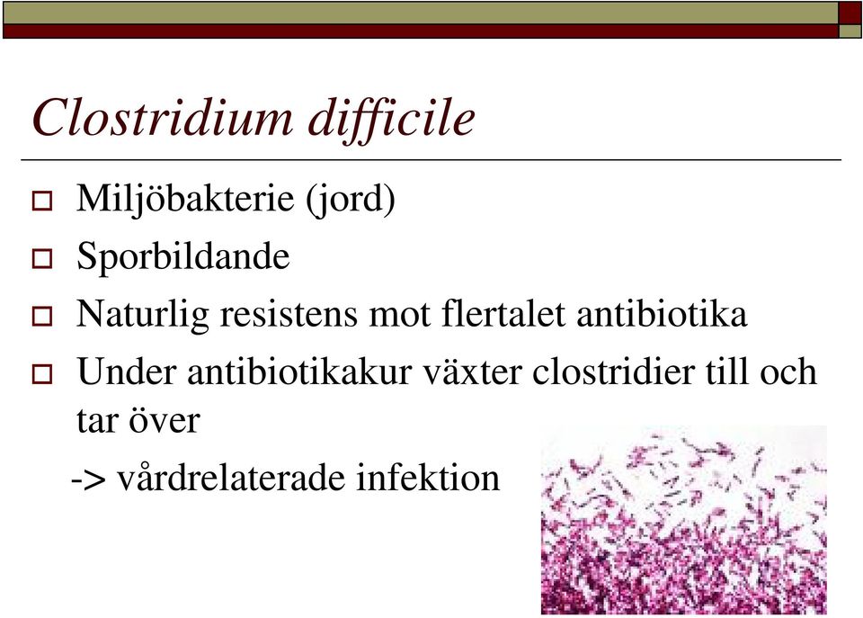 antibiotika Under antibiotikakur växter