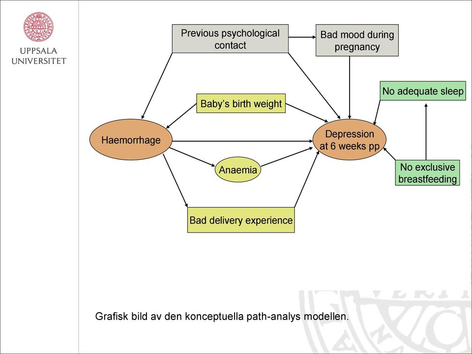 weeks pp Anaemia No exclusive breastfeeding Bad delivery