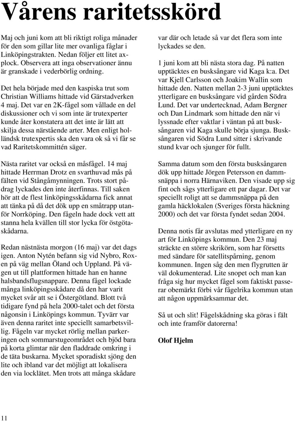 Det var en 2K-fågel som vållade en del diskussioner och vi som inte är trutexperter kunde åter konstatera att det inte är lätt att skilja dessa närstående arter.