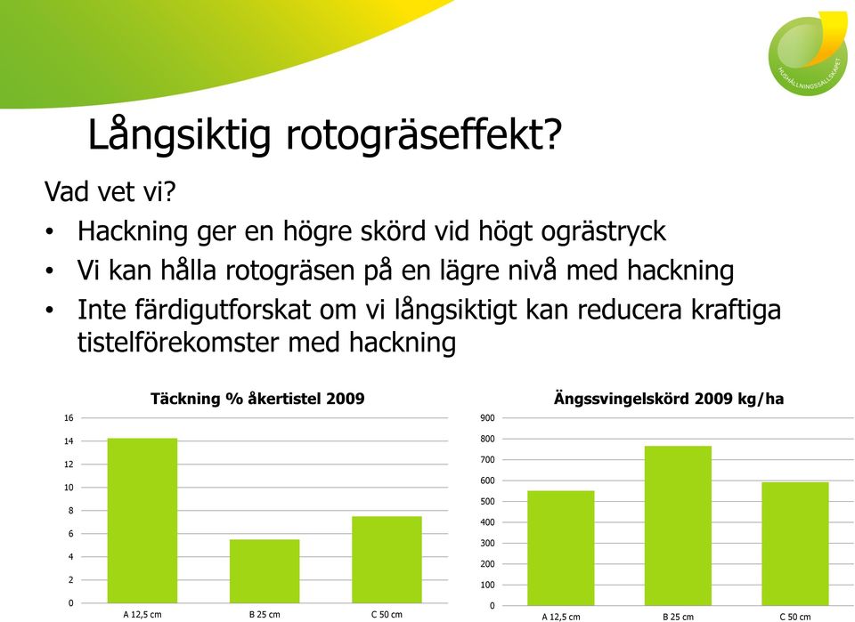 hackning Inte färdigutforskat om vi långsiktigt kan reducera kraftiga tistelförekomster med