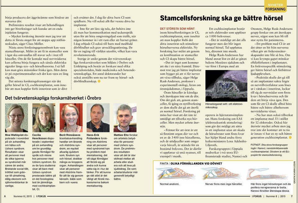 Målet är att få in stamceller som i ögat ska omvandlas till stavar och i örat till hårceller.