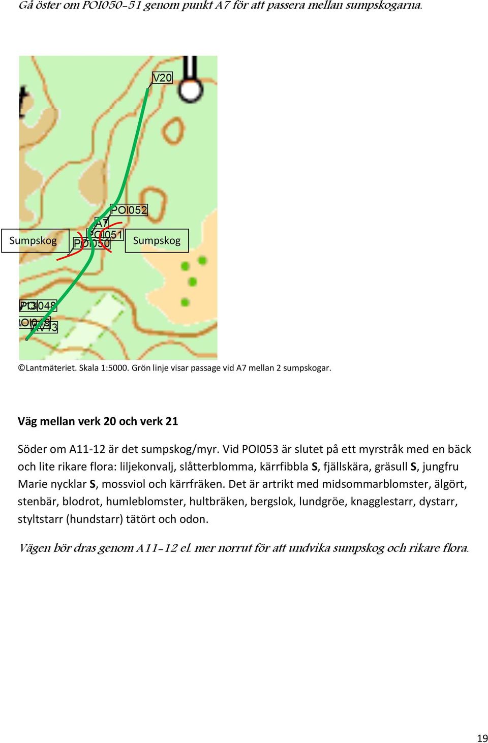 Vid POI053 är slutet på ett myrstråk med en bäck och lite rikare flora: liljekonvalj, slåtterblomma, kärrfibbla S, fjällskära, gräsull S, jungfru Marie nycklar S, mossviol