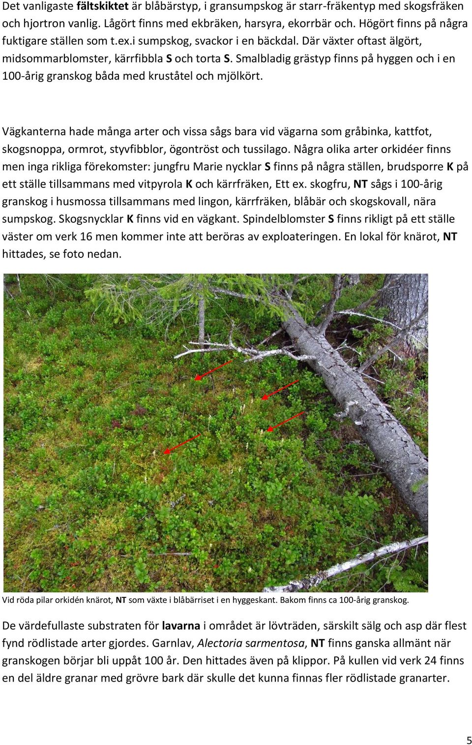 Smalbladig grästyp finns på hyggen och i en 100-årig granskog båda med kruståtel och mjölkört.