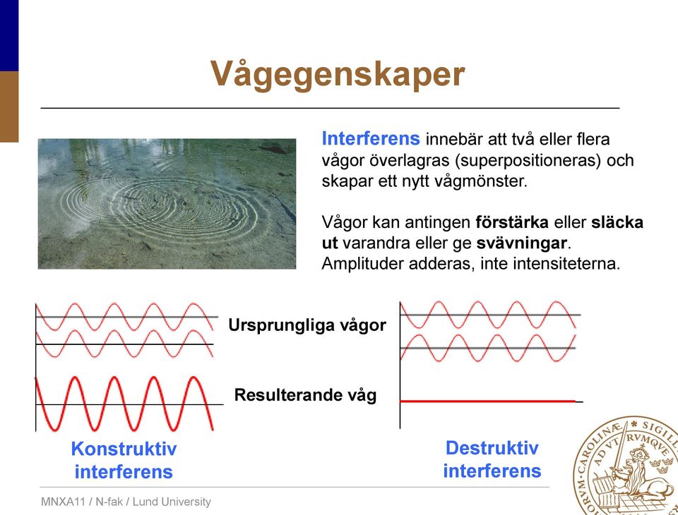 Vågor kan antingen förstärka eller släcka ut varandra eller ge svävningar.