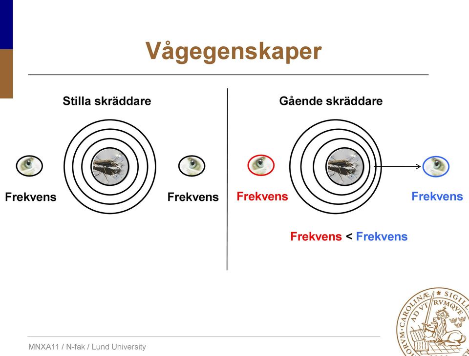 skräddare Frekvens