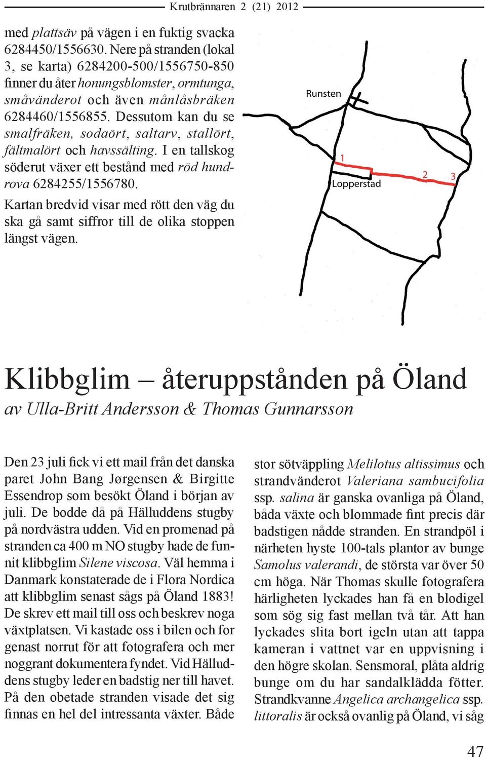 Dessutom kan du se smalfräken, sodaört, saltarv, stallört, fältmalört och havssälting. I en tallskog söderut växer ett bestånd med röd hundrova 6284255/1556780.