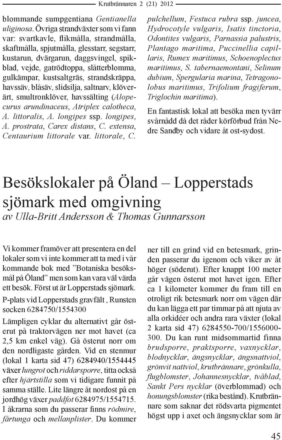gulkämpar, kustsaltgräs, strandskräppa, havssäv, blåsäv, slidsilja, saltnarv, klöverärt, smultronklöver, havssälting (Alopecurus arundinaceus, Atriplex calotheca, A. littoralis, A. longipes ssp.