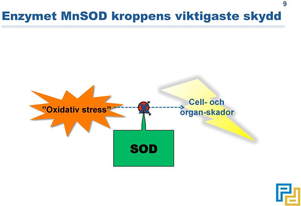 Oxidativ stress - X 2