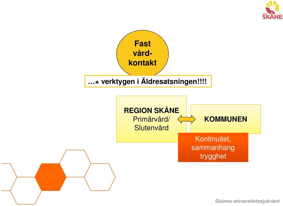 !!! REGION SKÅNE Primärvård/