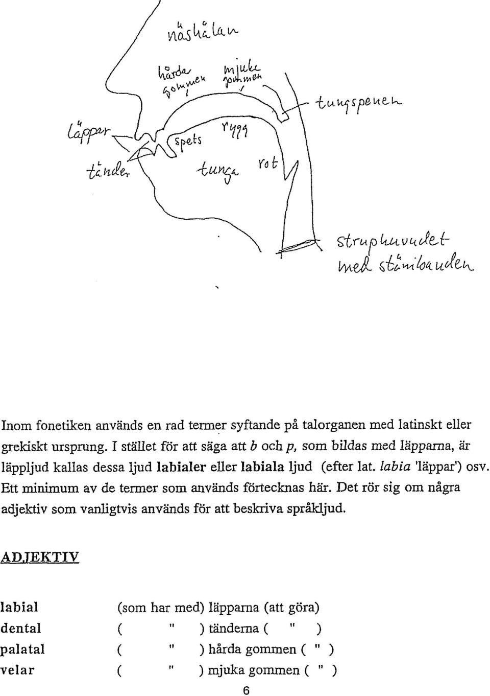 labia 'lappar') osv. Ett minimum av de termer som används förtecknas här.