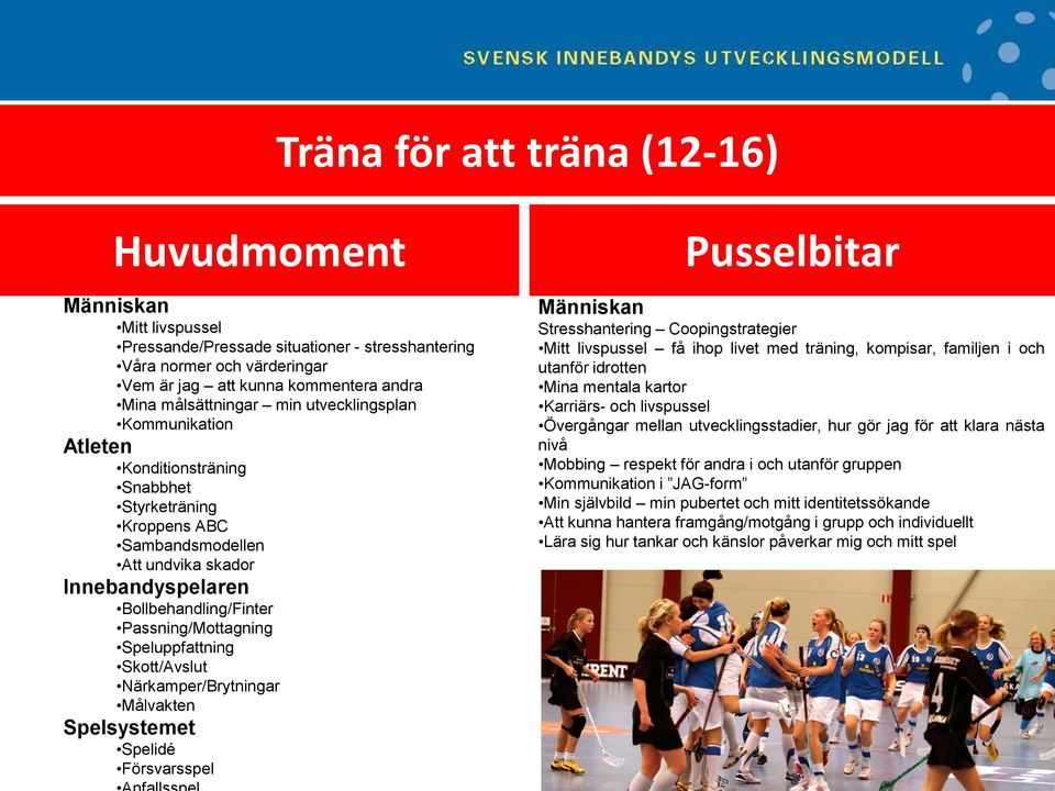 Speluppfattning Skott/Avslut Närkamper/Brytningar Målvakten Spelsystemet Spelidé Försvarsspel Pusselbitar Människan Stresshantering Coopingstrategier Mitt livspussel få ihop livet med träning,