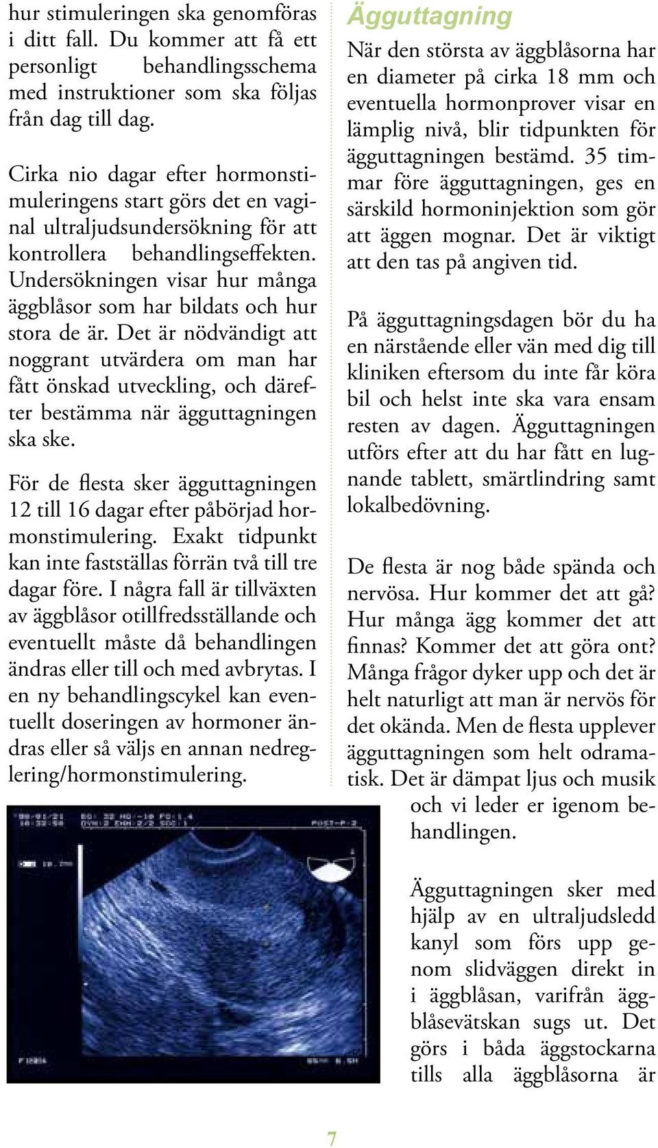 Undersökningen visar hur många äggblåsor som har bildats och hur stora de är.