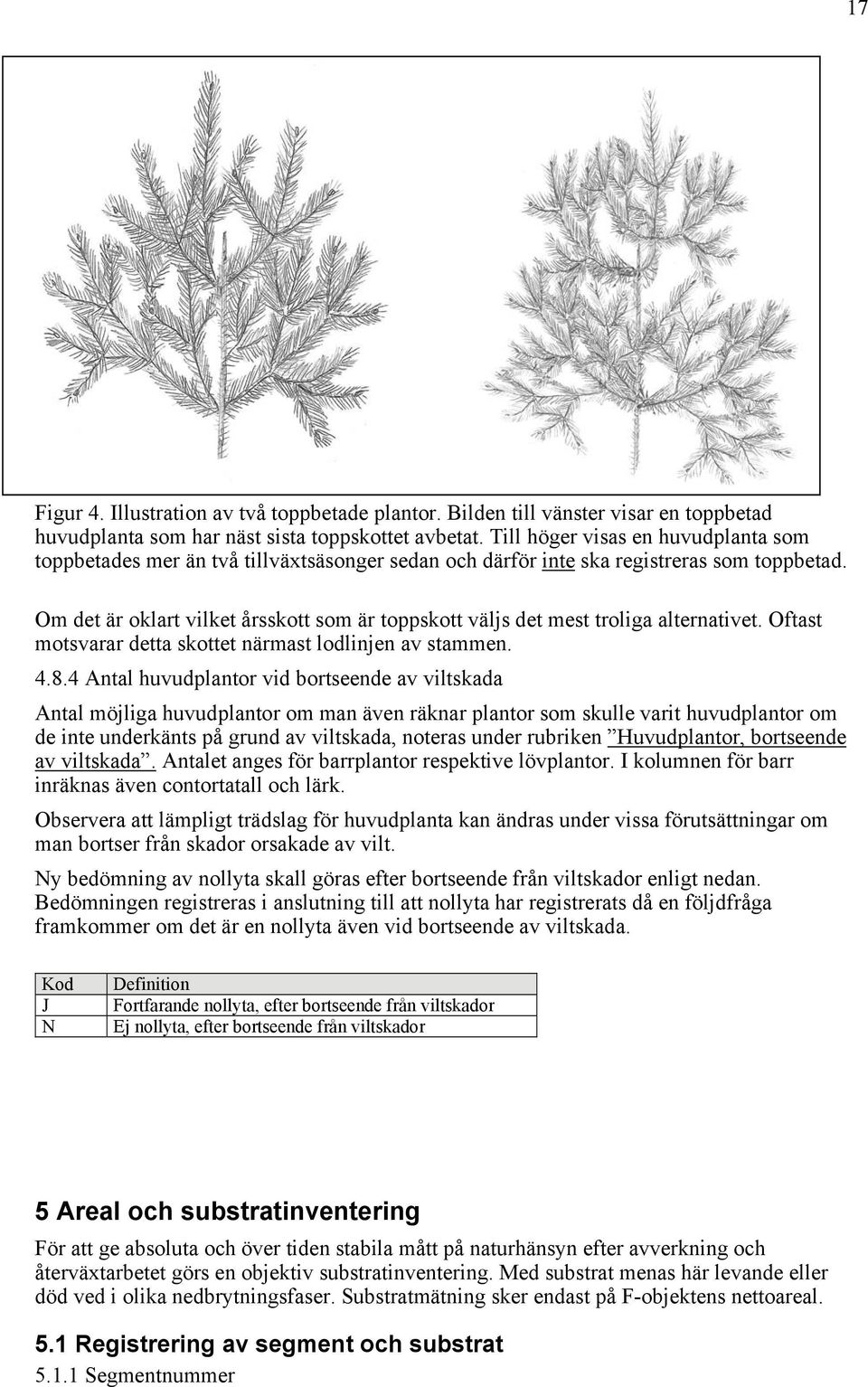 Om det är oklart vilket årsskott som är toppskott väljs det mest troliga alternativet. Oftast motsvarar detta skottet närmast lodlinjen av stammen. 4.8.