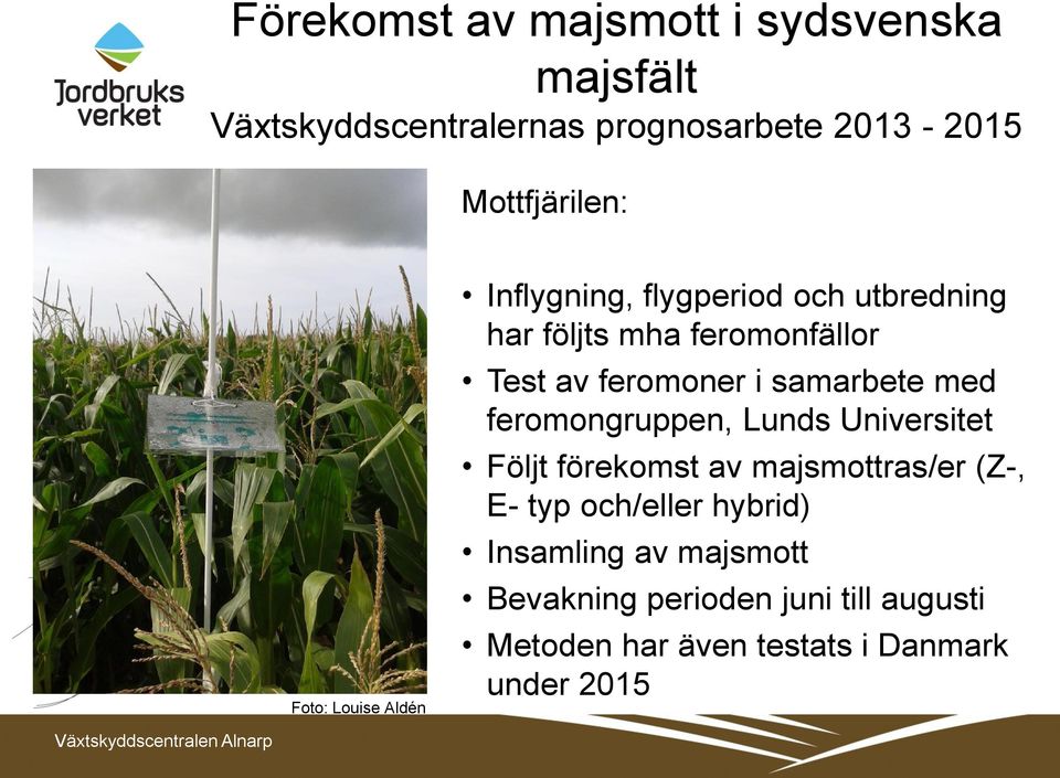 samarbete med feromongruppen, Lunds Universitet Följt förekomst av majsmottras/er (Z-, E- typ och/eller
