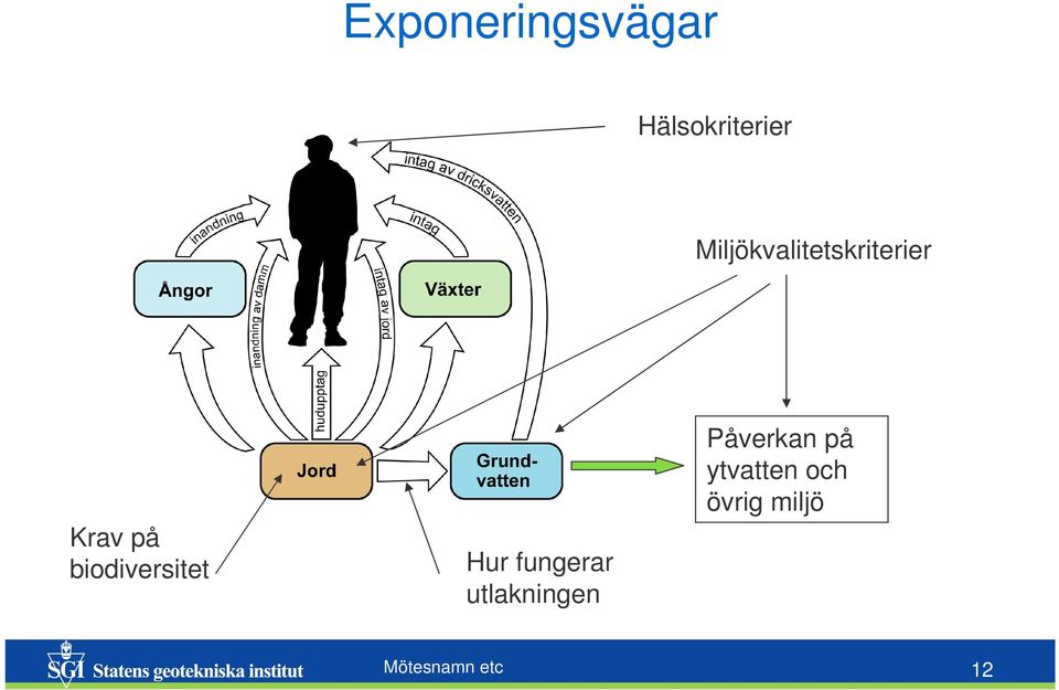 biodiversitet Hur fungerar utlakningen