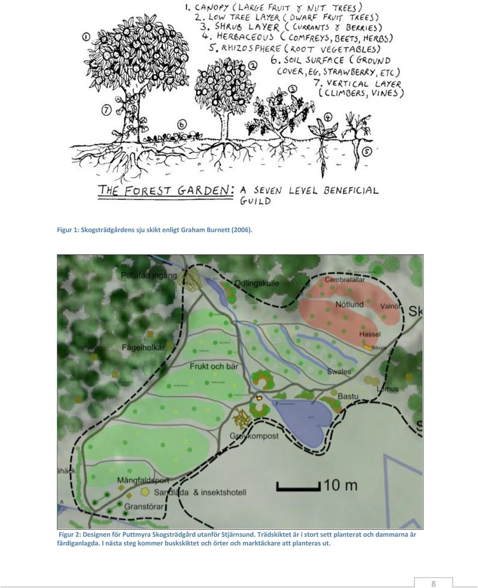 Trädskiktet är i stort sett planterat och dammarna är färdiganlagda.